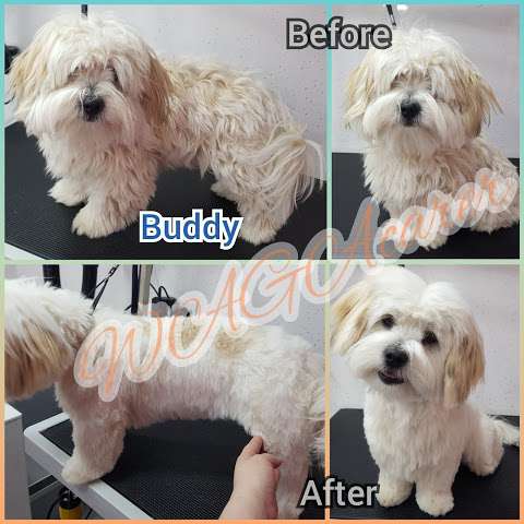 WAGAcarer Dog Grooming & Services photo